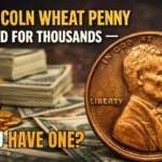 One Lincoln Wheat Penny Just Sold For Thousands — Do You Have One